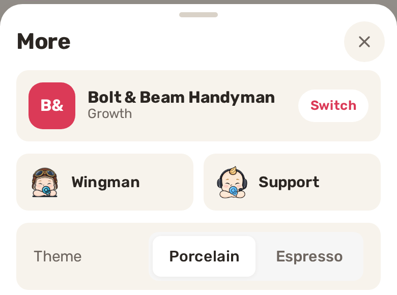 The More sheet: business name with Switch, Wingman, Support and the Theme choice